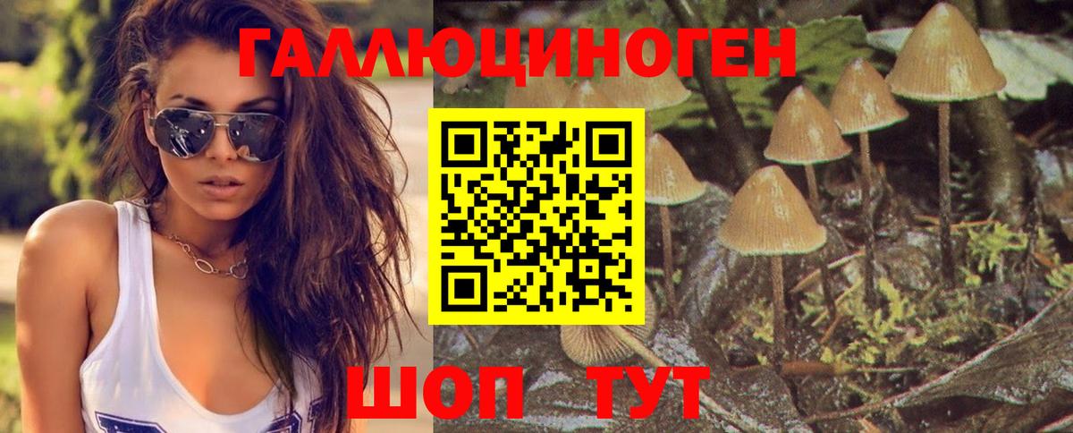 Ачинск  Галлюциногенные грибы мухоморы  Псилоцибиновые грибы MAGIC MUSHROOMS  Вход с VPN 