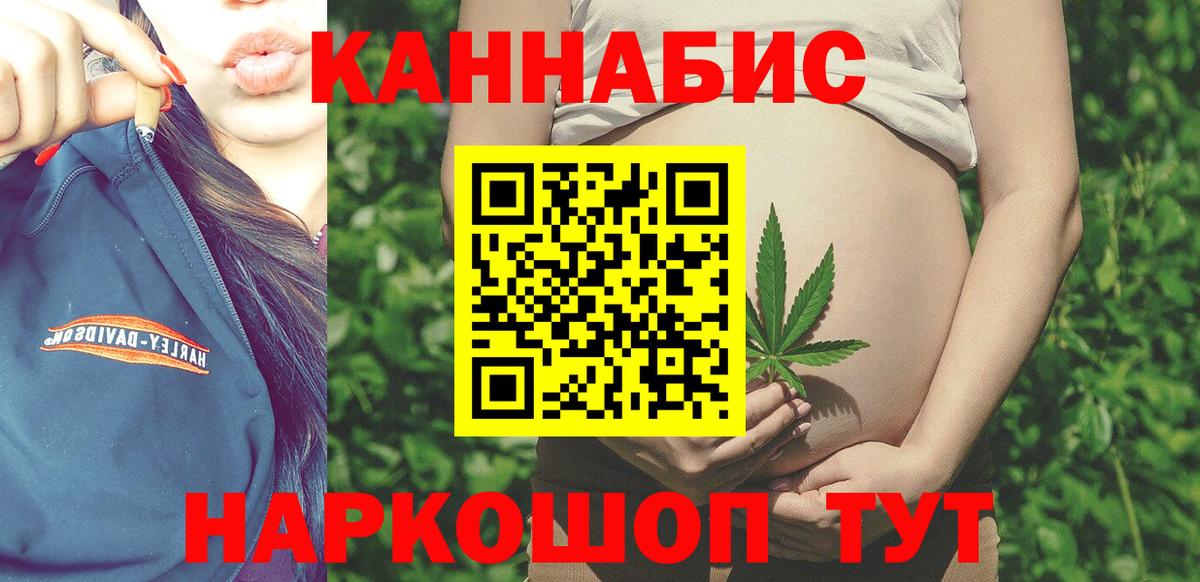 Конопля сатива Ачинск
